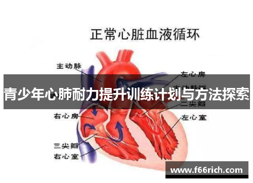 青少年心肺耐力提升训练计划与方法探索
